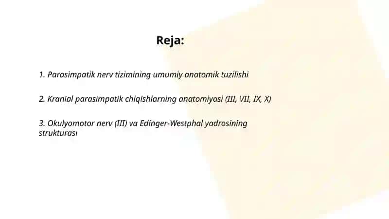 Parasimpatik nerv anatomik tuzulishi 2