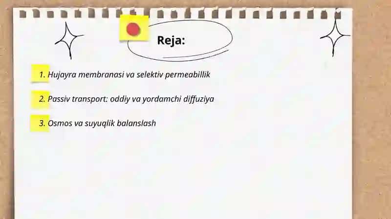Hujayrada modda va energiya oqimi 2