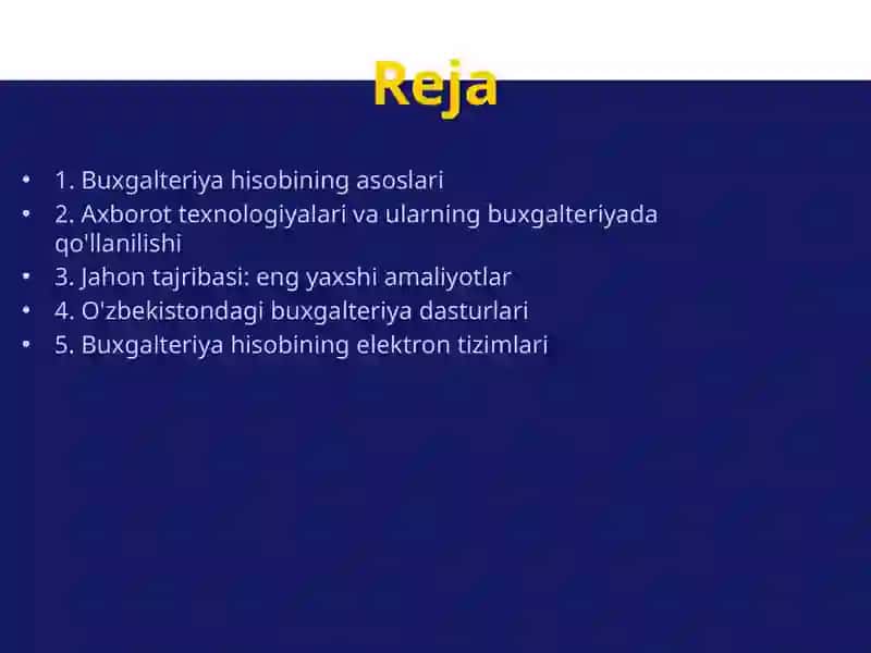 Buxgalteriya hisobini axborot elektron dasturlaridan foydalanib yuritish bo'yicha jahon tajribasini o'rganish 2