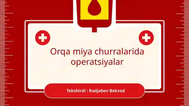 Orqa miya churralarining anatomik tuzilishi va funktsiyalari 2