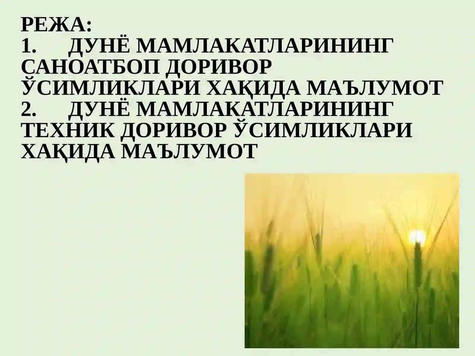 ДУНЁ МАМЛАКАТЛАРИНИНГ САНОАТБОП ВА ТЕХНИК ДОРИВОР ЎСИМЛИКЛАРИ 2