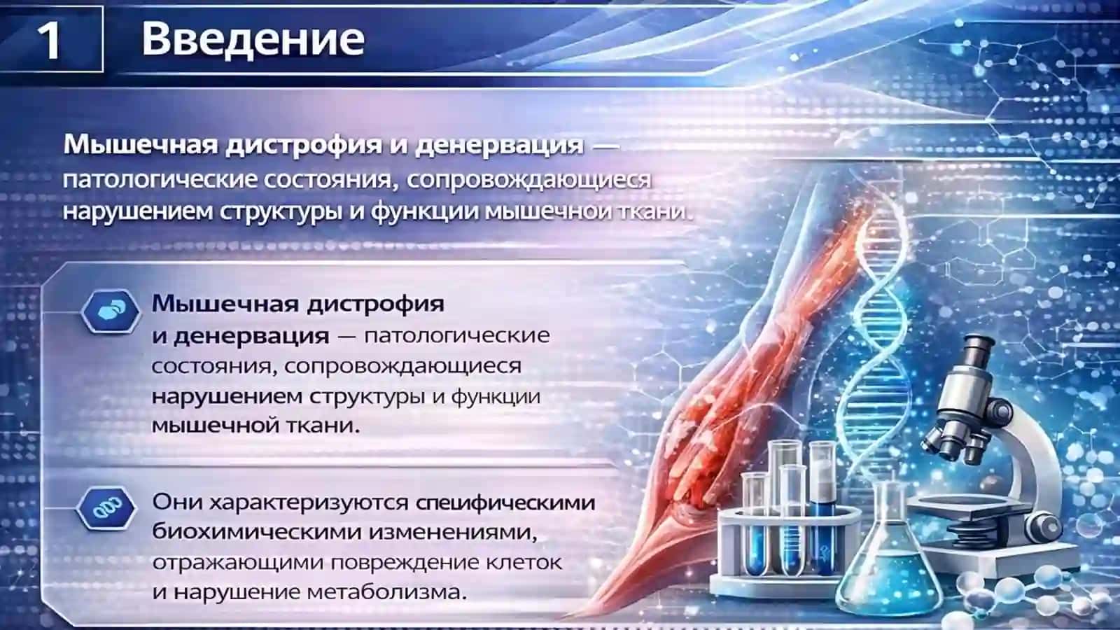 Биохимические изменения при мышечной дистрофии и денервации 2