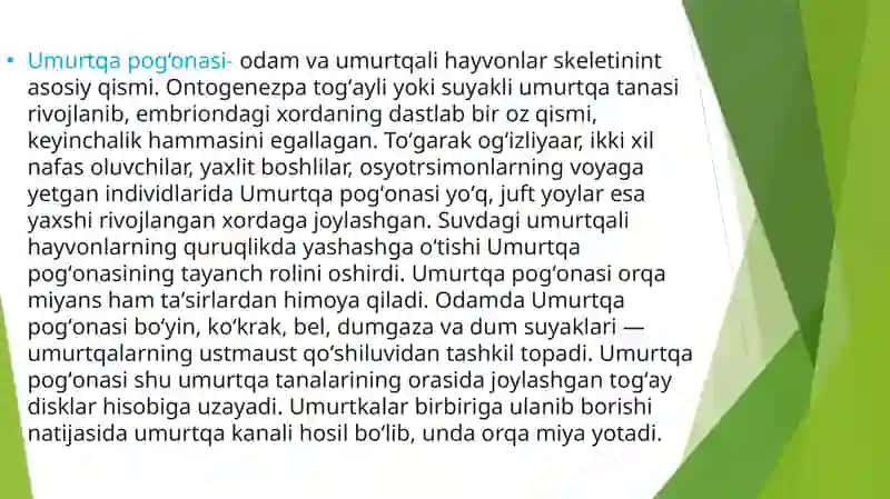 Umurtqa pog‘onasi va suyaklarning birikishi 2