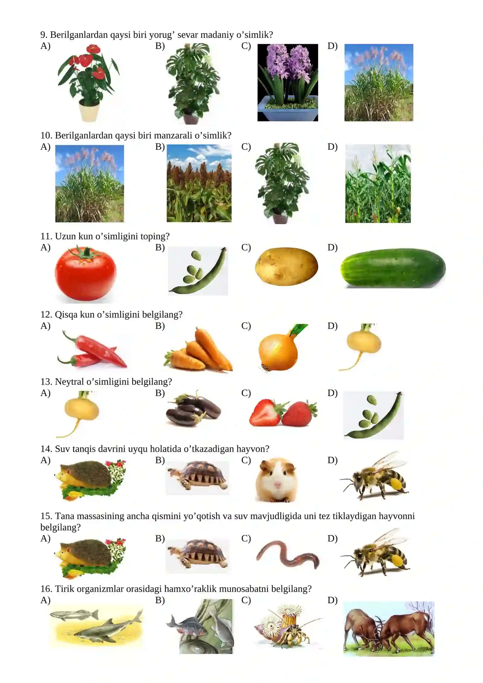 11-sinflar uchun biologiya fanidan Pisa testlari 2