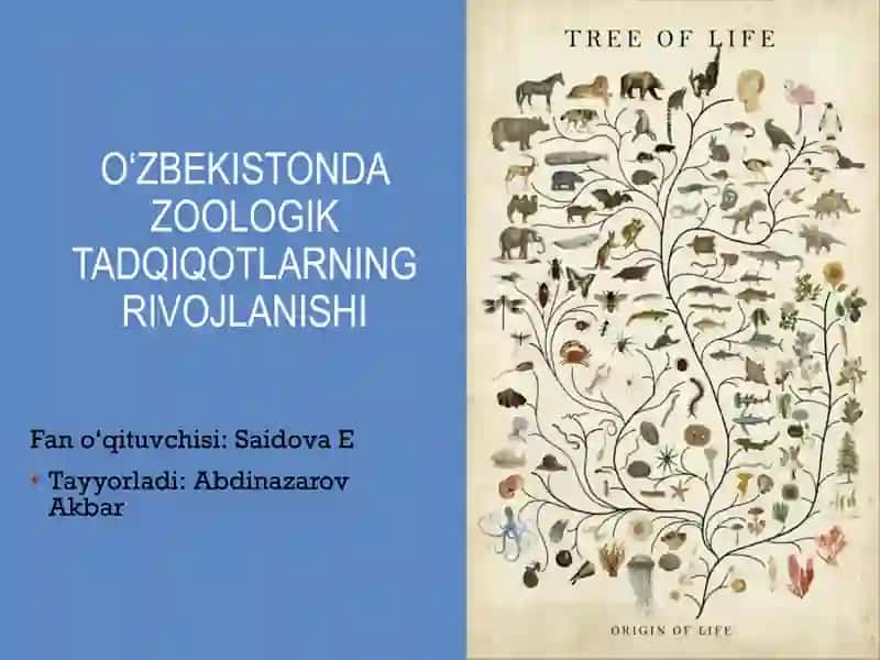 Oʻzbekistonda zoologik tadqiqotlarning rivojlanishi 2