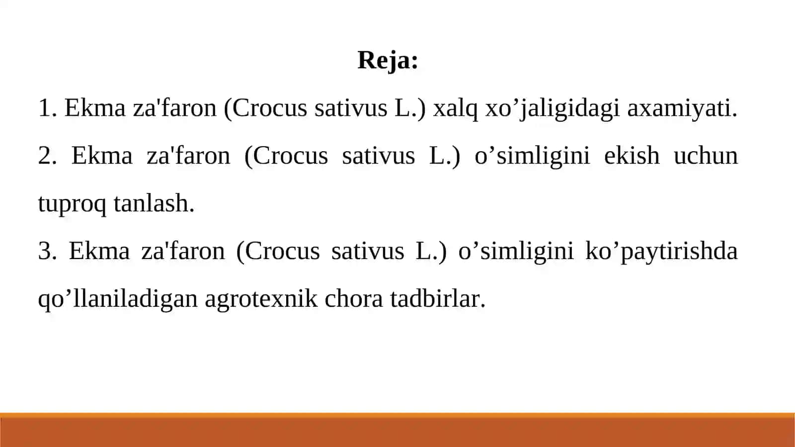 ZIRAVOR O‘SIMLIKLARNI YETISHTIRISH TEXNOLOGIYASI (Ekma za'faron) 2