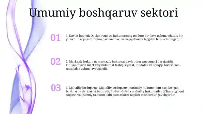 Finlandiya Davlat Moliya Tizimi 2