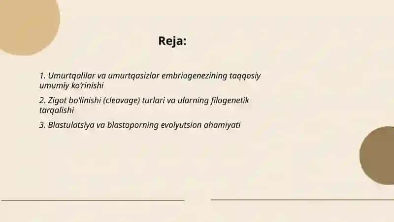 Umurtqali va umurtqasiz hayvonlar rivojlanishi misolida, embriogenez xilm-xilligining filogenetik asoslari 2