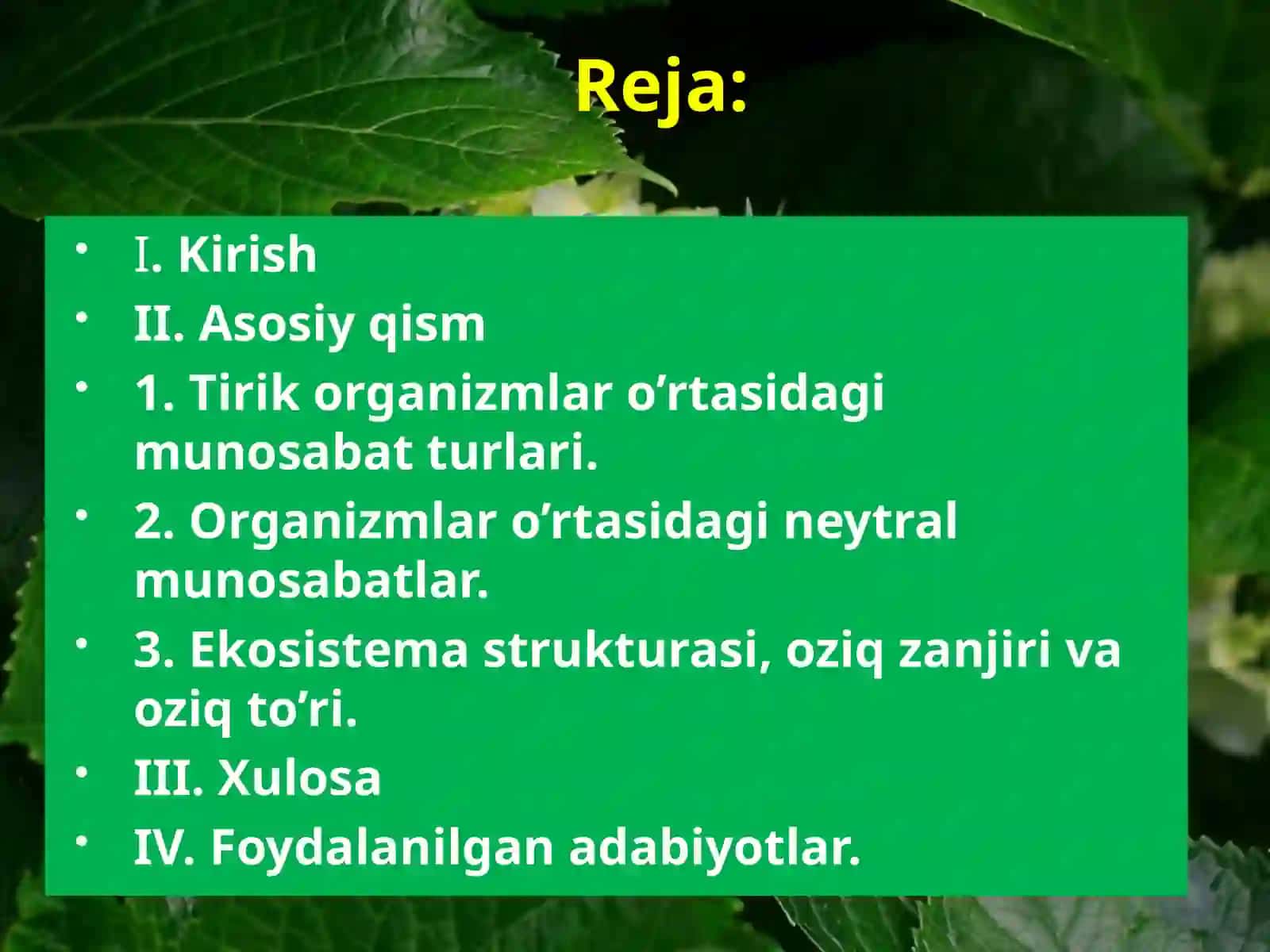 Tirik organizmlar o’rtasidagi munosabatlar va trofik struktura 2