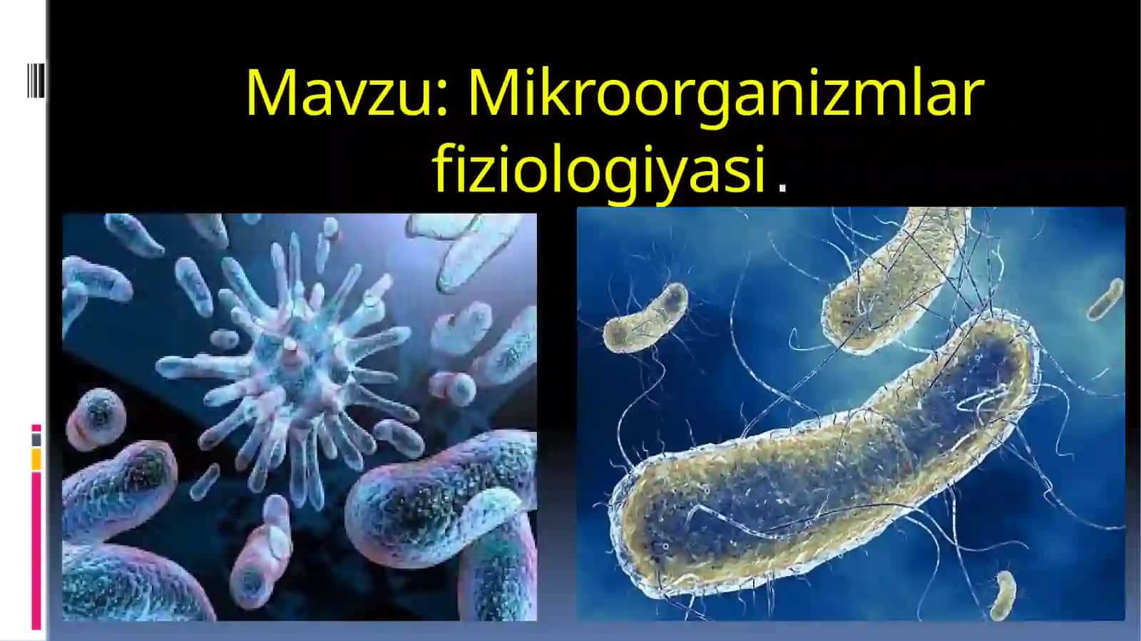 Mikroorganizmlar fiziologiyasi 2