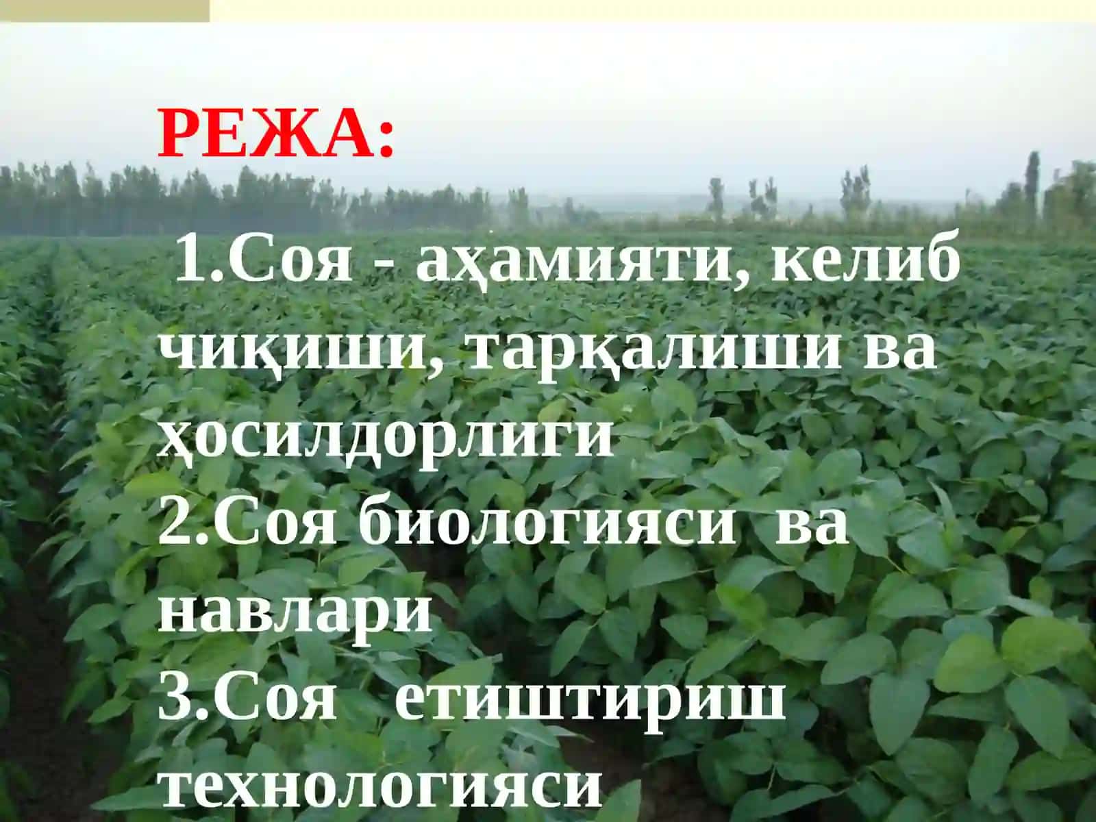 Соя биологияси ва етиштириш технологияси 2