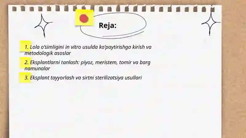 Lola oʻsimligini in vitro usulda koʻpaytirish 2