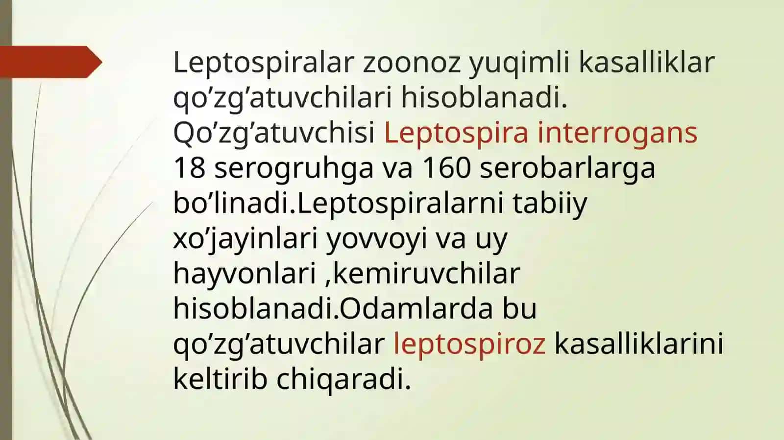 Leptospirozlar morfologiyasi,strukturasi,tarqalganligini keltirib chiqaruvchi kasalliklar labaratoriya diagnostikasi 2