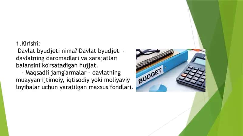 Davlat byudjeti va davlat maqsadli jamg’armalarining budjet ijrosi bo’yicha budjet hisobida qo’llaniladigan hisob hujjatlari va registrlari 2