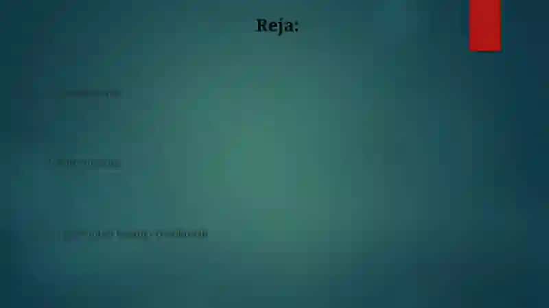 Hujayra ontogenezining rivojlanish bosqichlari 2
