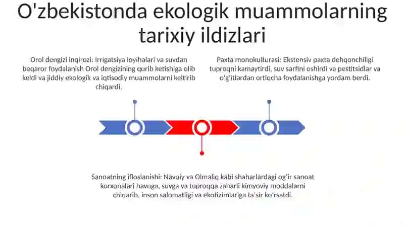 O'zbekistonda Ekologik Muammolarni Bartaraf Etishning Konseptual Asoslari 2