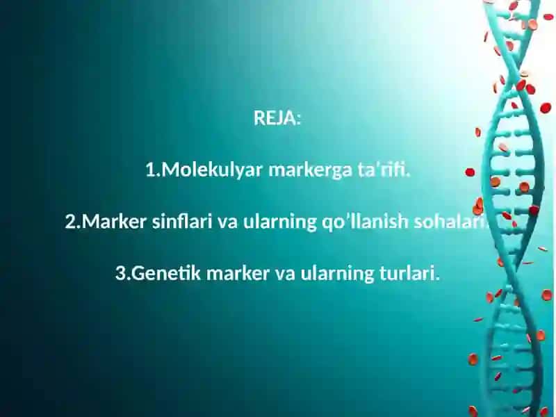 Molekulyar Markerlar 2