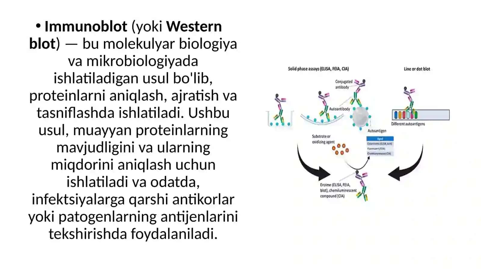 IFA,Immunitet,PZR,radioimmunereaksiyalarningyuqumlikasalliklartashhisidaqo’llanishi,qo’yishtehnikasi 2