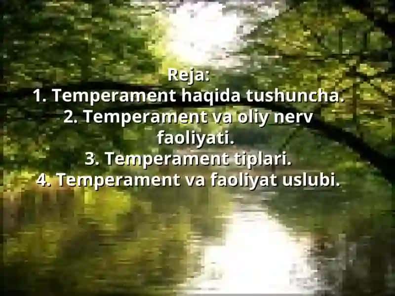 Temperament va faoliyat uslubi 2