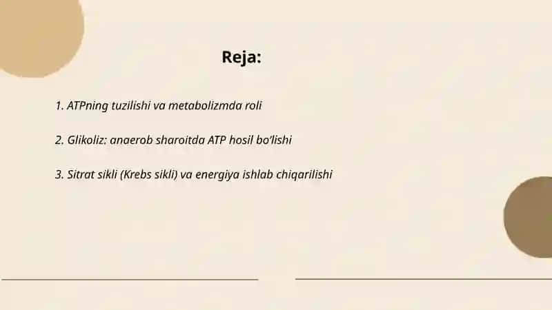 Metabolizm jarayonida energiya hosil boʻlishi va sarflanishi 2
