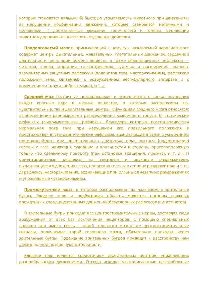 Строение и функции центральной нервной системы человека 2
