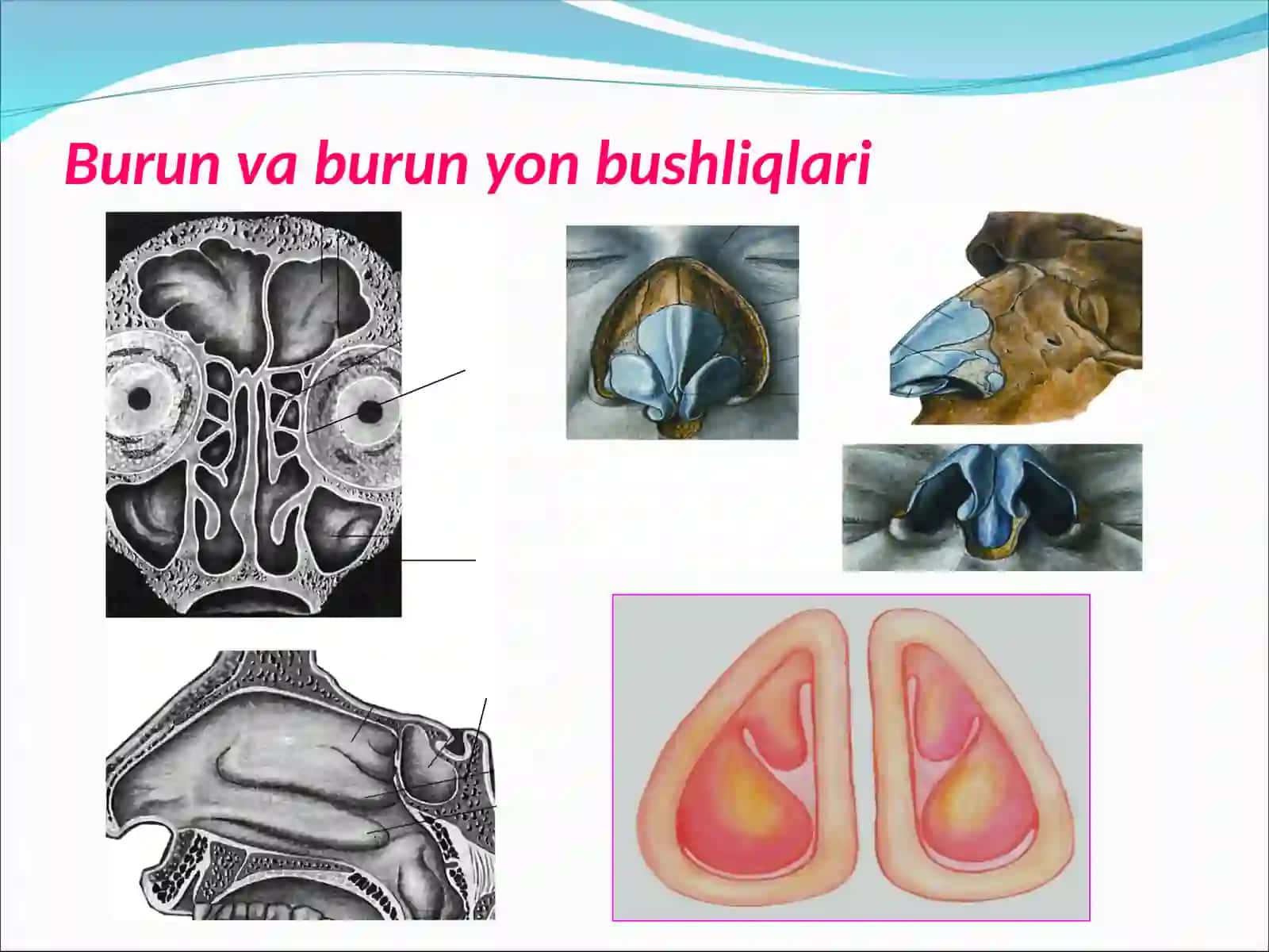 O‘TKIR VA SURUNKALI TUMOVLAR 2