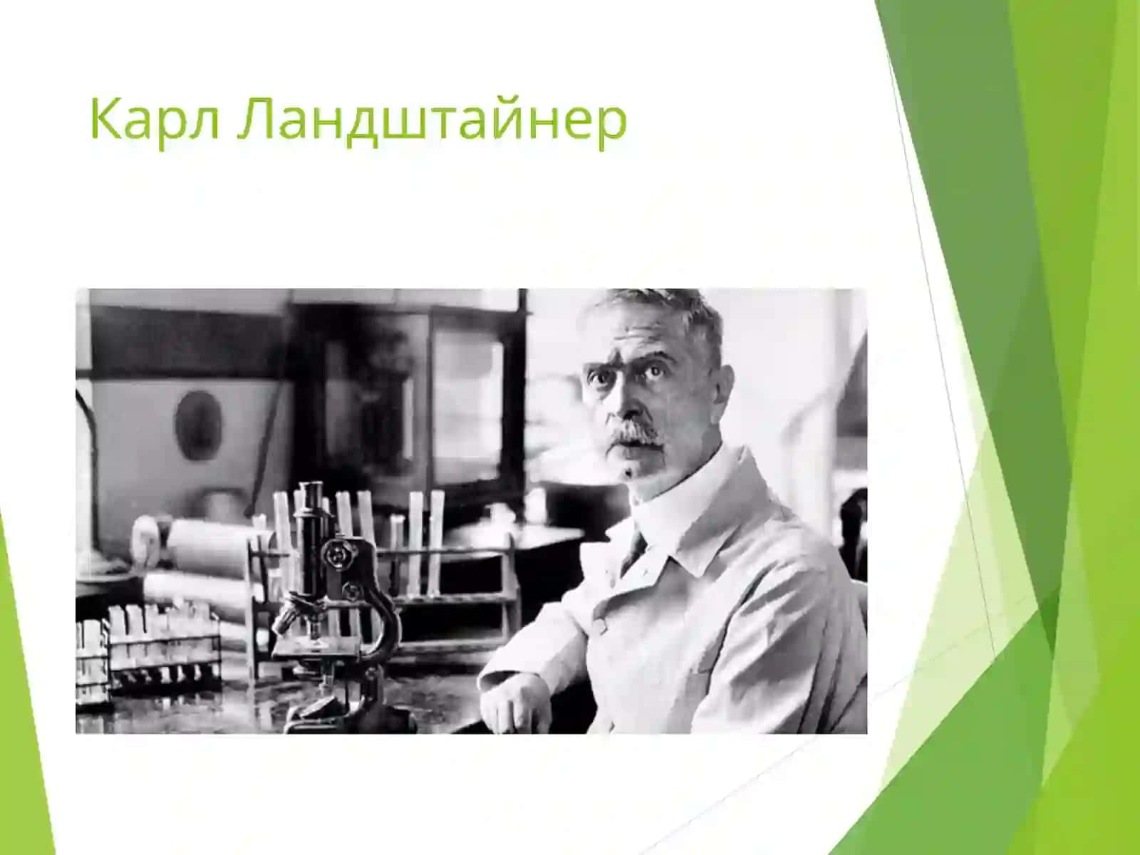 Группы крови. Методы определения групп крови и резус-фактора 2