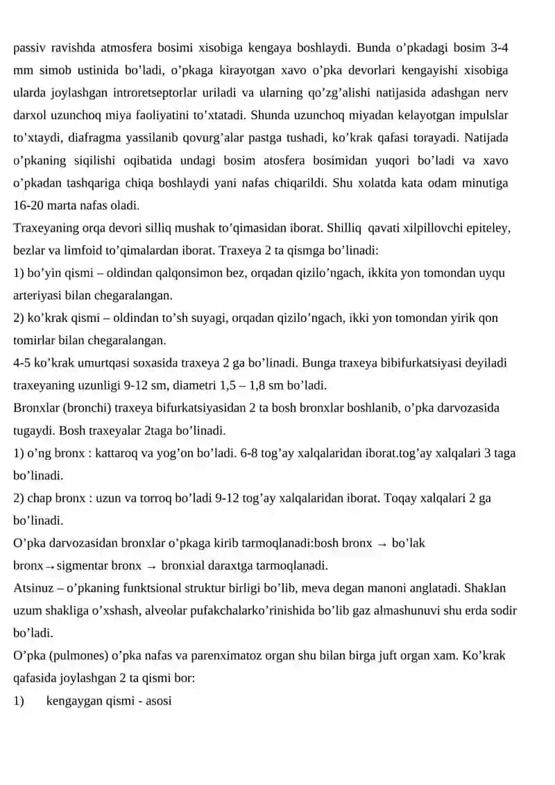 Nafas fiziologiyasi va potologiyasi 2