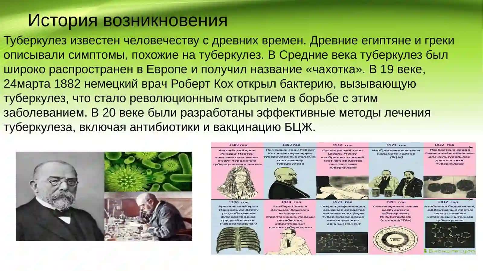 Туберкулез. Дифтерия. Коклюш. Паракоклюш 2