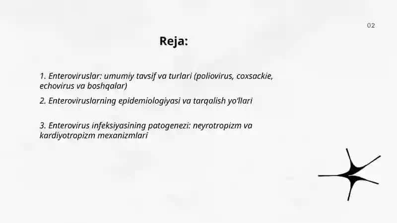 Enteroviruslar va ularning ko’rinishlari meningit miakordit 2