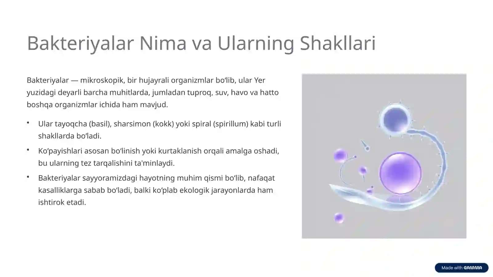 Bakterialar Bioplenkasi: Tabiatdagi Yashirin Himoya Qatlami 2