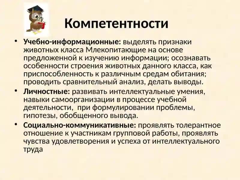 Класс Млекопитающие 2