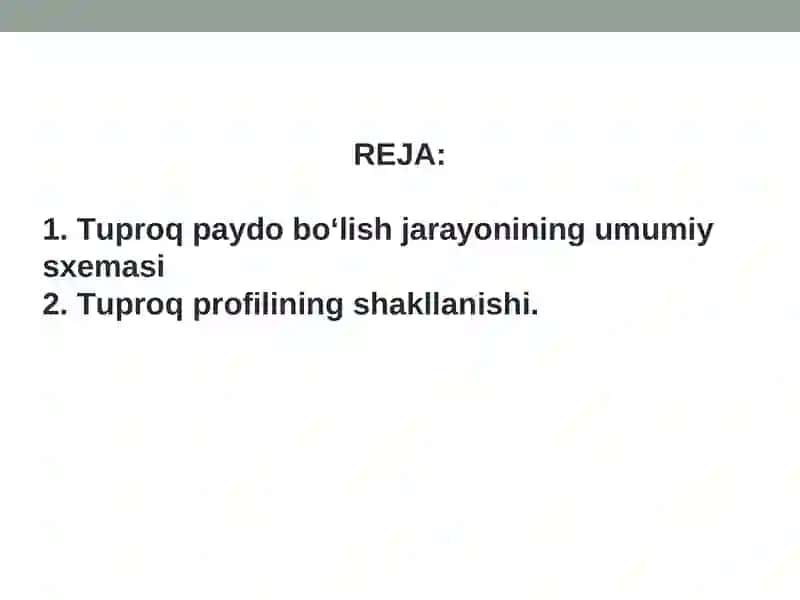 Tuproq paydo bo‘lish jarayonining umumiy sxemasi va tuproq profilining shakllanishi 2