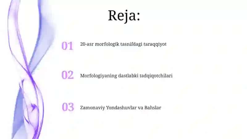 Morfologik tasniflash tillarning morfologik klassifikatsiyasi 2