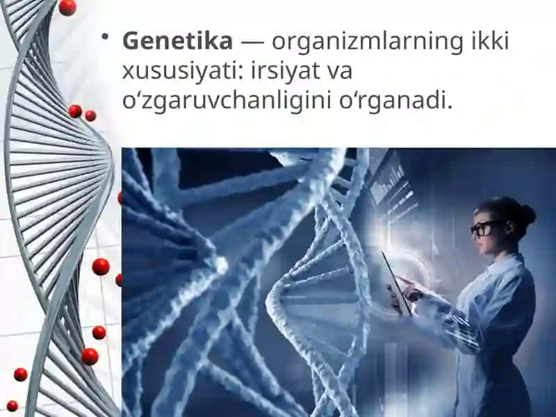 Irsiyatning molekulyar asoslari 2