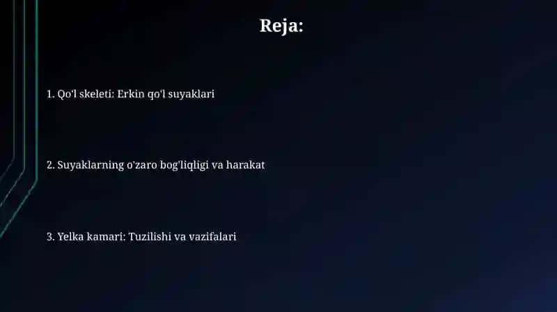 Yelka kamari 2