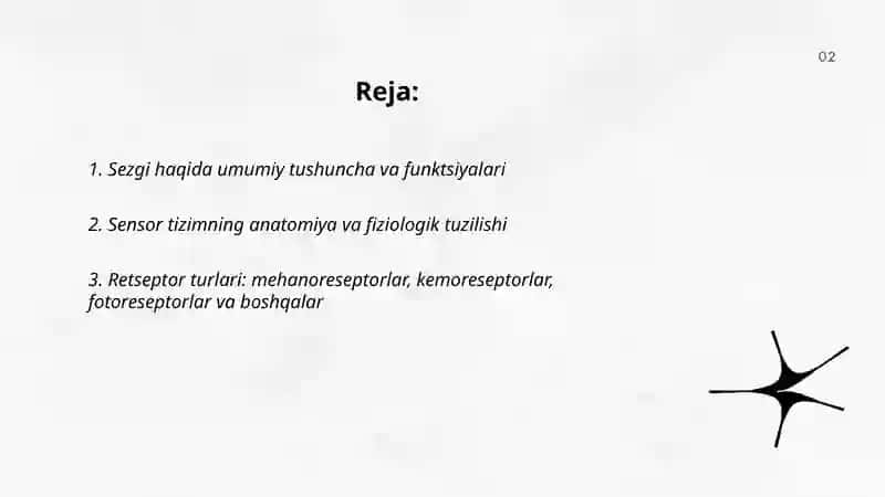 Sezgilar haqida umumiy tushuncha va uning nerv fizialogik asoslari 2
