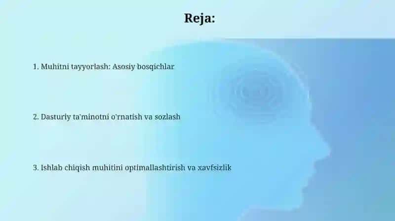 Rivojlantiruvchi muhitni tashkil qilish 2