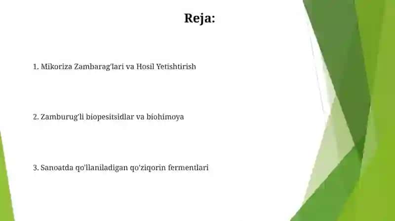 Zamburug'li biopesitsidlar 2