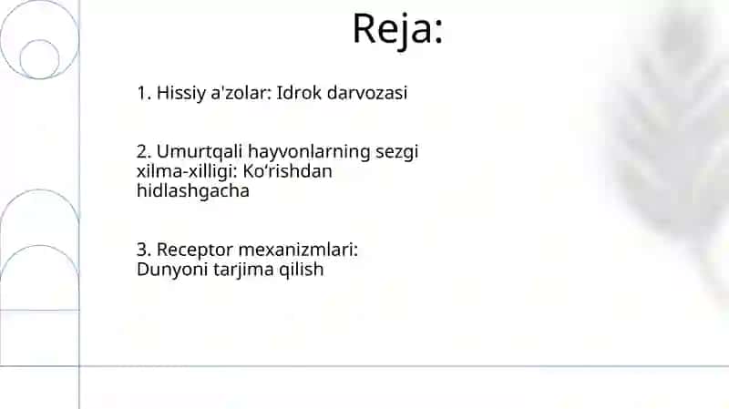 Umurtqali hayvonlar sezgi azolari, sensor(qabul qilish) mexanizimlari 2