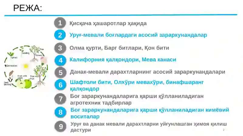 КЎЧАТХОНА ВА МЕВАЛИ БОҒЛАРДА УЧРОВЧИ АСОСИЙ ЗАРАРКУНАНДАЛАРГА ҚАРШИ КУРАШ- ЧОРА ТАДБИРЛАРИ 2