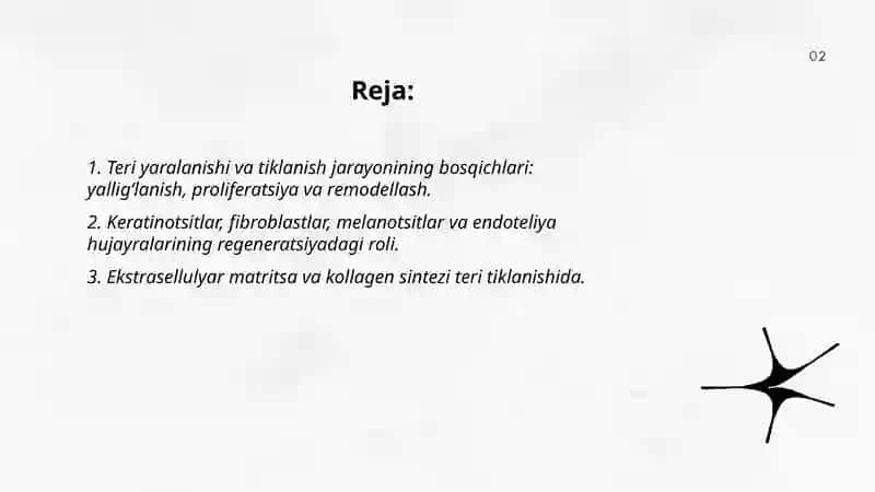 Teri regeneratsiyasi va transplantatsiyasi 2