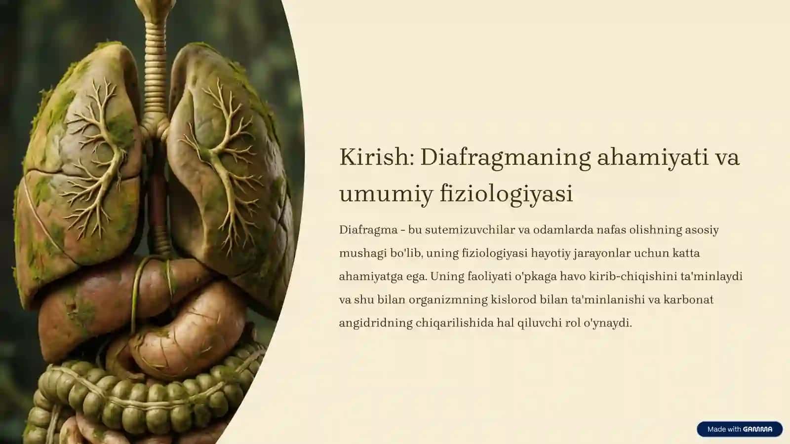 Diafragma mushaklari fiziologiyasi 2