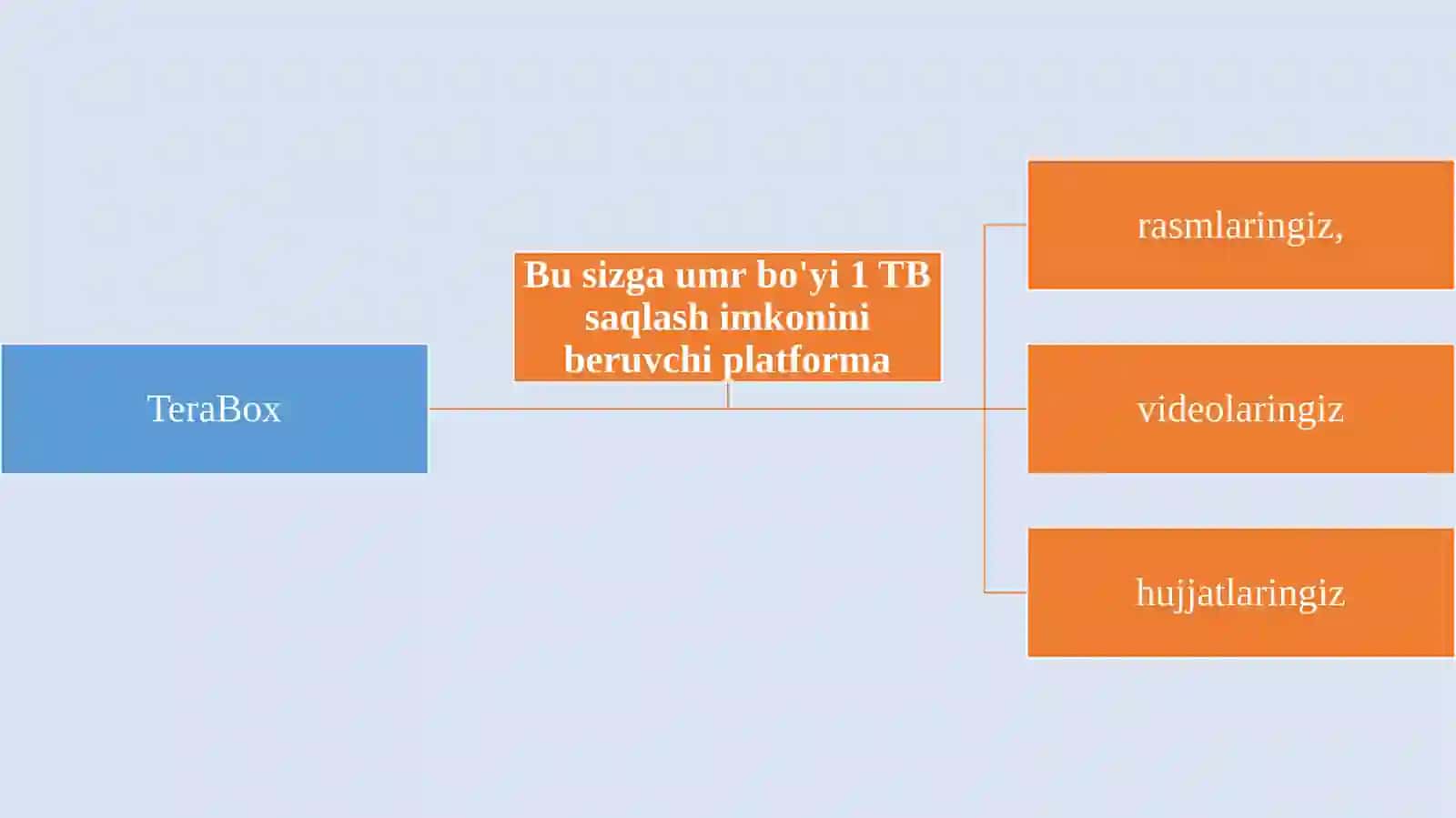 O'zbek tili fanidan test savollari 2