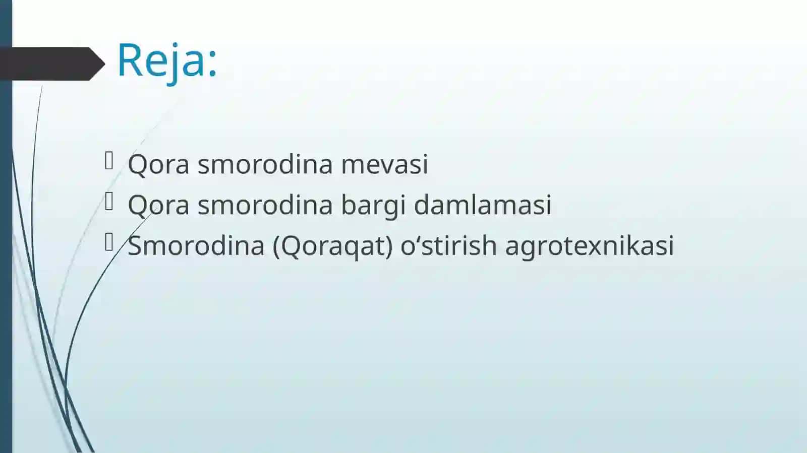 Qora smorodina — qoragʻat 2