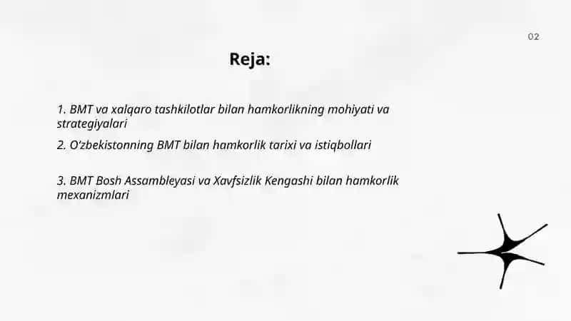 BMT va xalqaro tashkilotlar bilan hamkorlik 2
