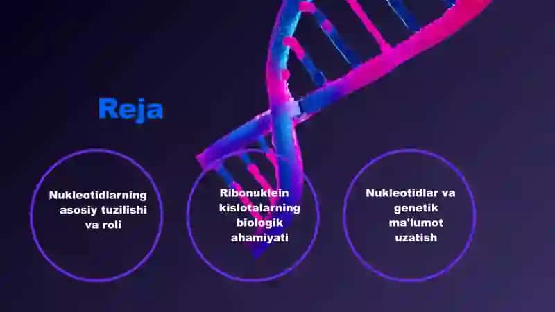 Nukleotidlar va genetik ma'lumot uzatish 2
