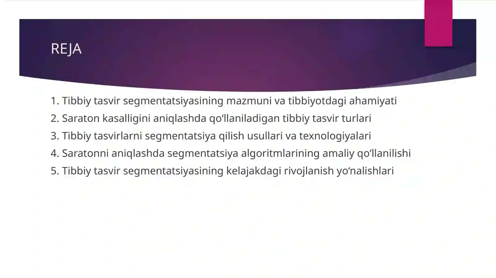 Tibbiy tasvir segmentatsiyasi 2