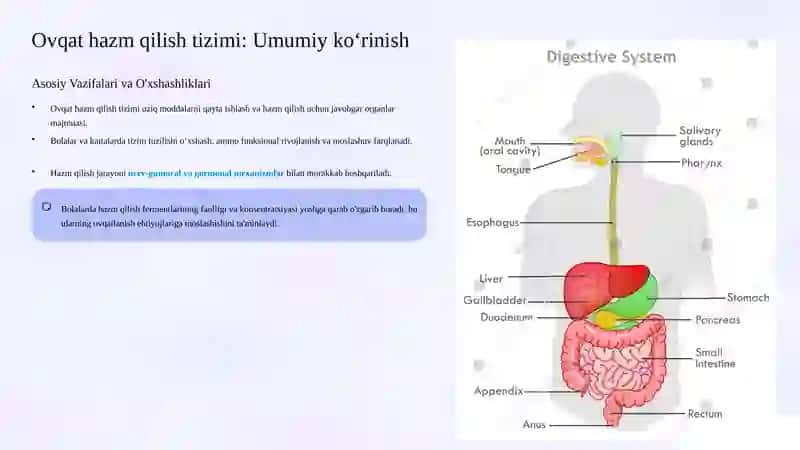 Bolalar va o'smirlarda ovqat hazm qilish xususiyatlari: Membrana va bo'shliq hazm qilishning yoshga xos jihatlari 2