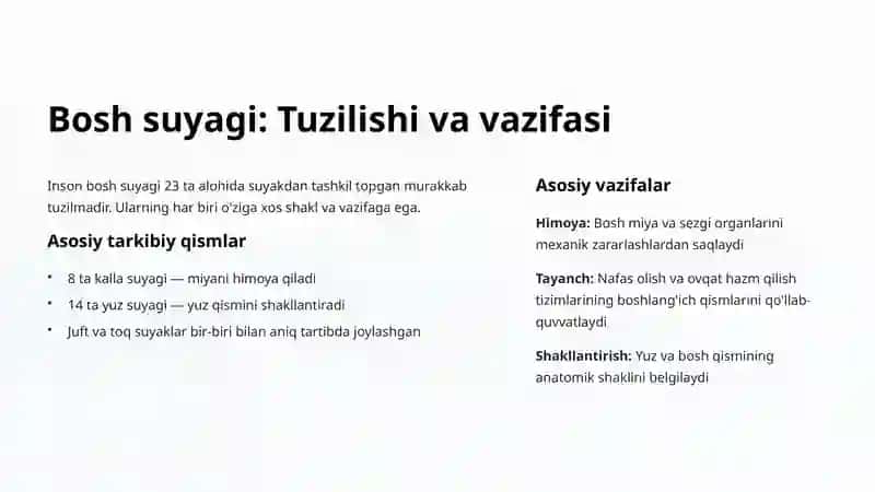 Bosh suyagining tikuvlari va birikishlari 2